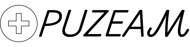 Puzeam